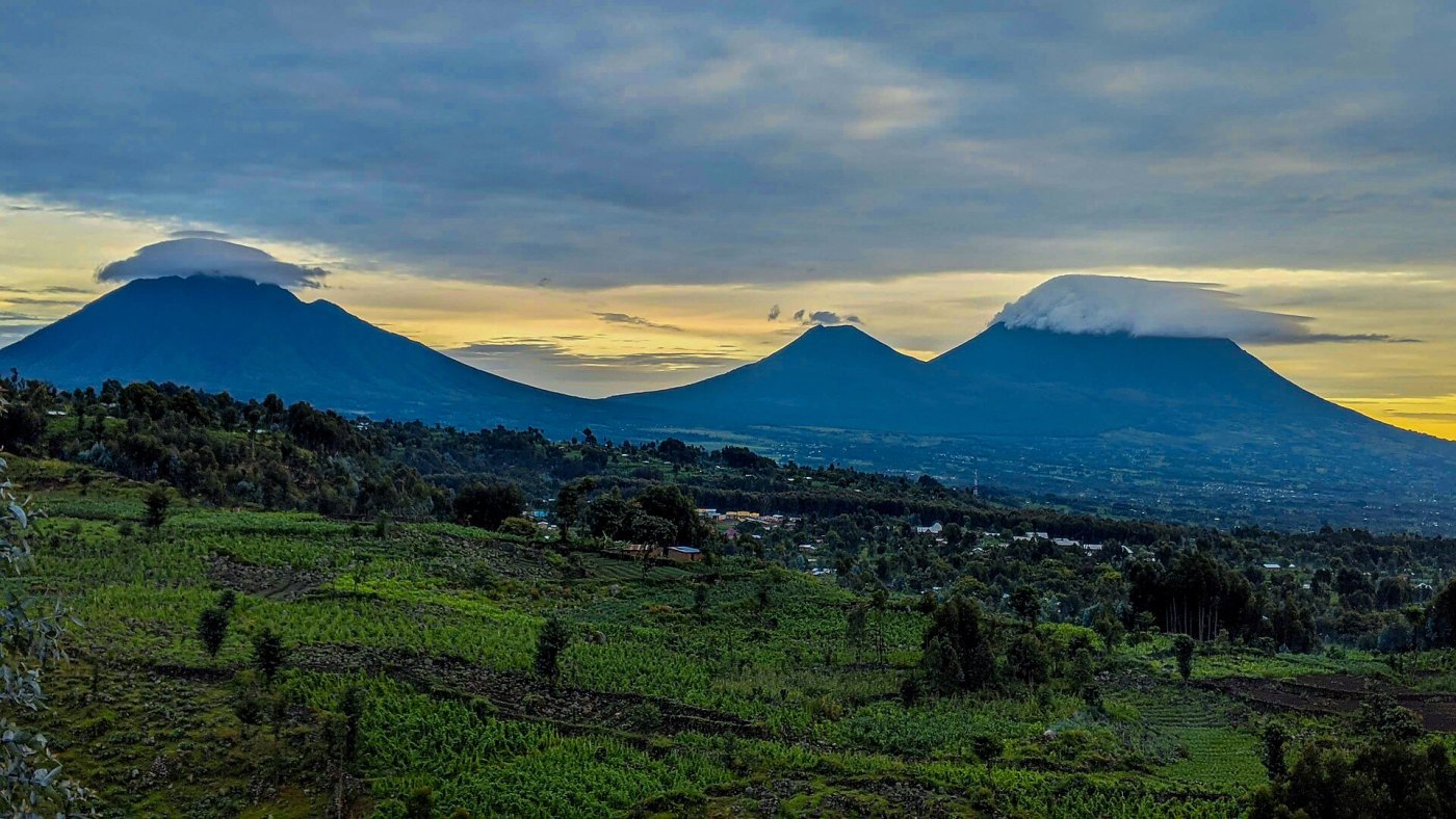 Rwanda Safaris