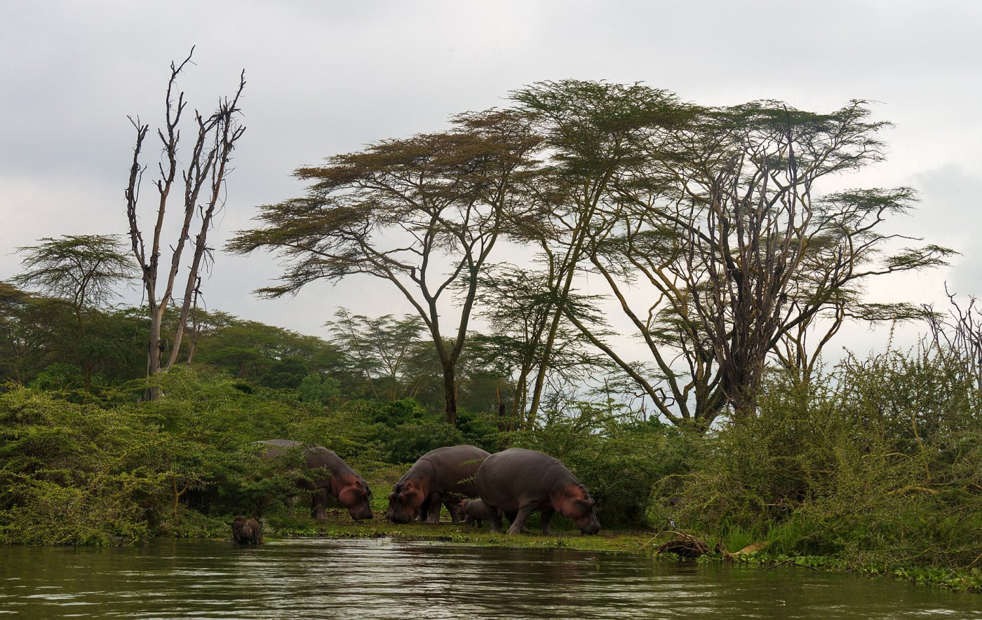 Lake Naivasha