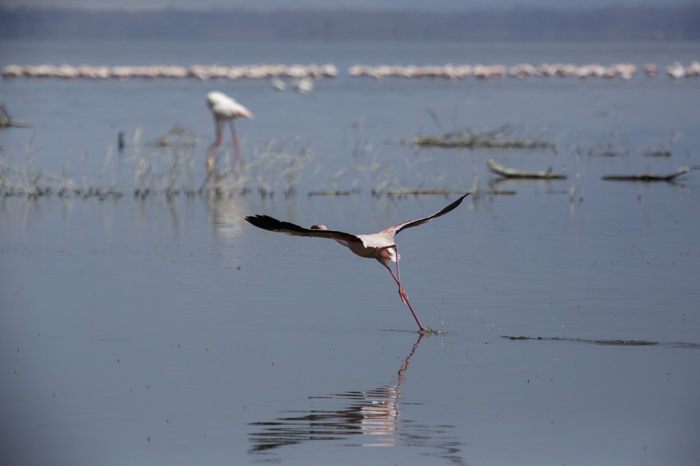 Lake Nakuru National Park