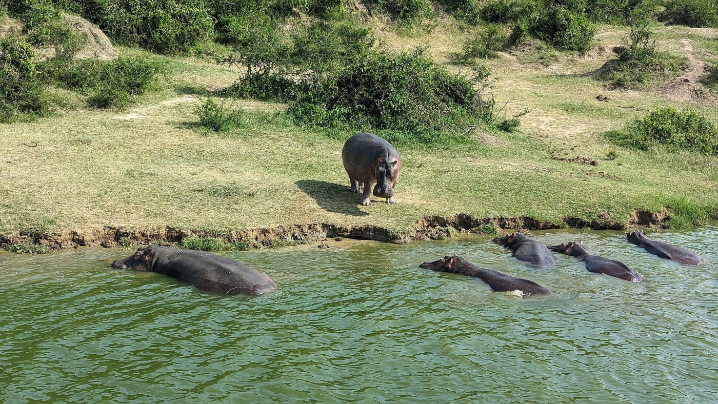 Queen Elizabeth National Park