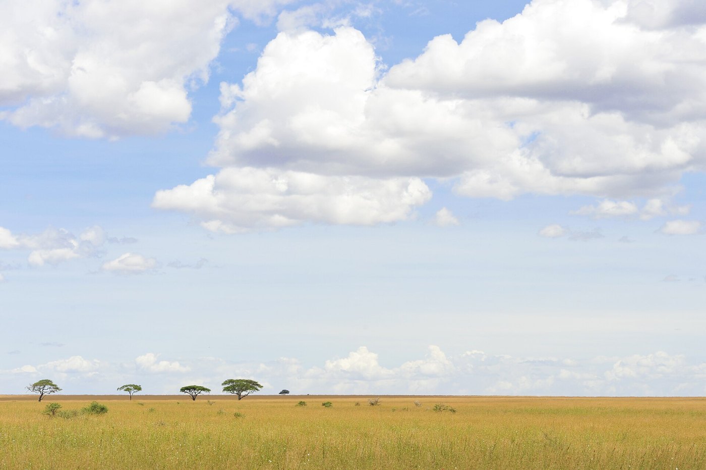 Serengeti National Park